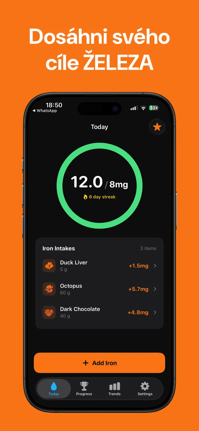 Dosáhni svého cíle ŽELEZA — Železo Tracker na iPhonu ukazující denní kruh pokroku a zapsaná jídla
