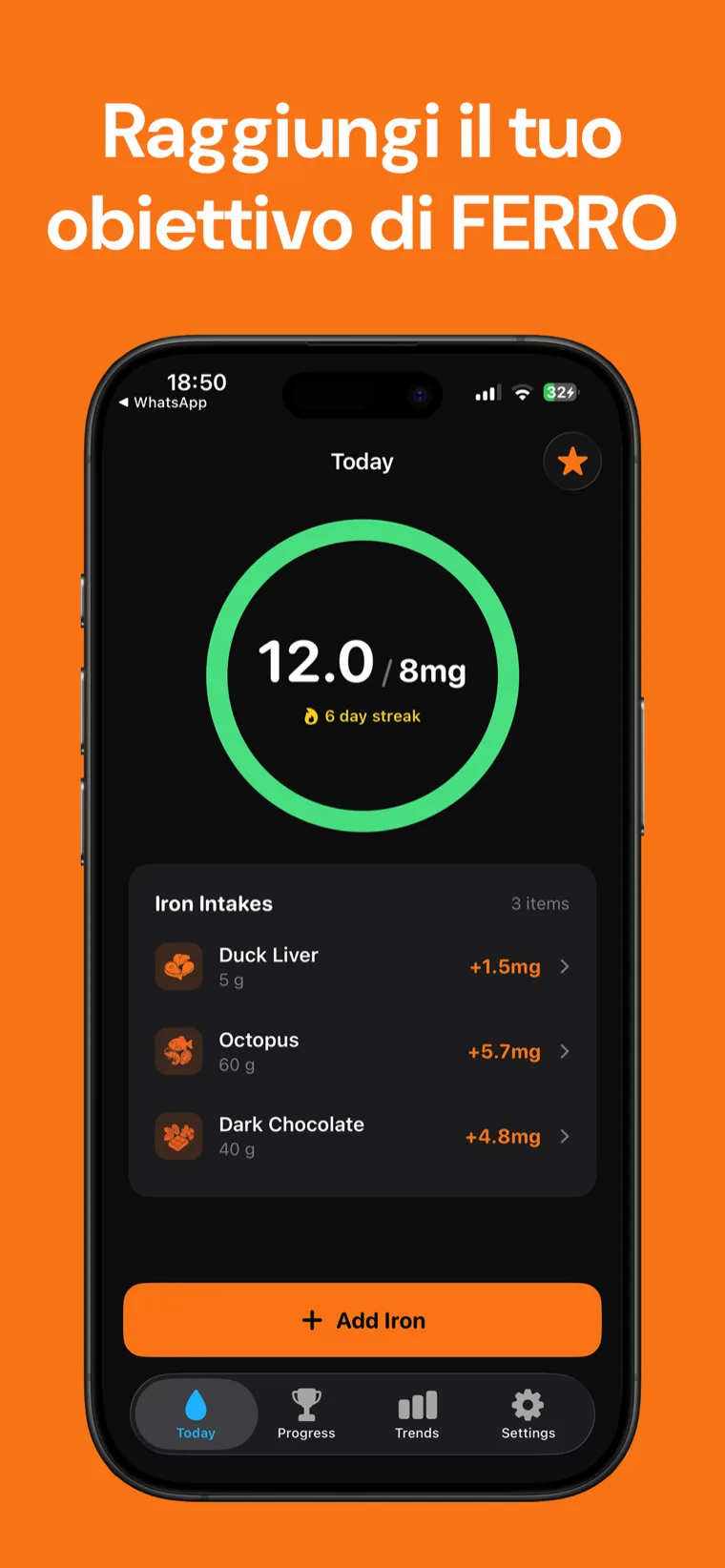 Raggiungi il tuo obiettivo di FERRO — Tracker Ferro su iPhone che mostra l'anello di progresso del ferro giornaliero e gli alimenti registrati