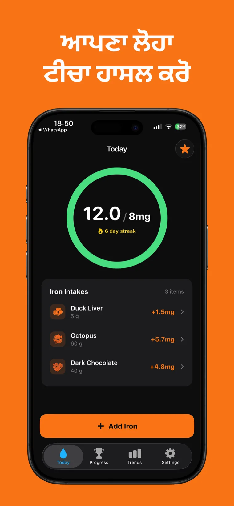ਆਪਣਾ ਲੋਹਾ ਟੀਚਾ ਹਾਸਲ ਕਰੋ — iPhone 'ਤੇ ਲੋਹਾ ਟ੍ਰੈਕਰ ਰੋਜ਼ਾਨਾ ਲੋਹੇ ਦੀ ਤਰੱਕੀ ਦਾ ਰਿੰਗ ਅਤੇ ਲੌਗ ਕੀਤੇ ਭੋਜਨ ਦਿਖਾ ਰਿਹਾ ਹੈ
