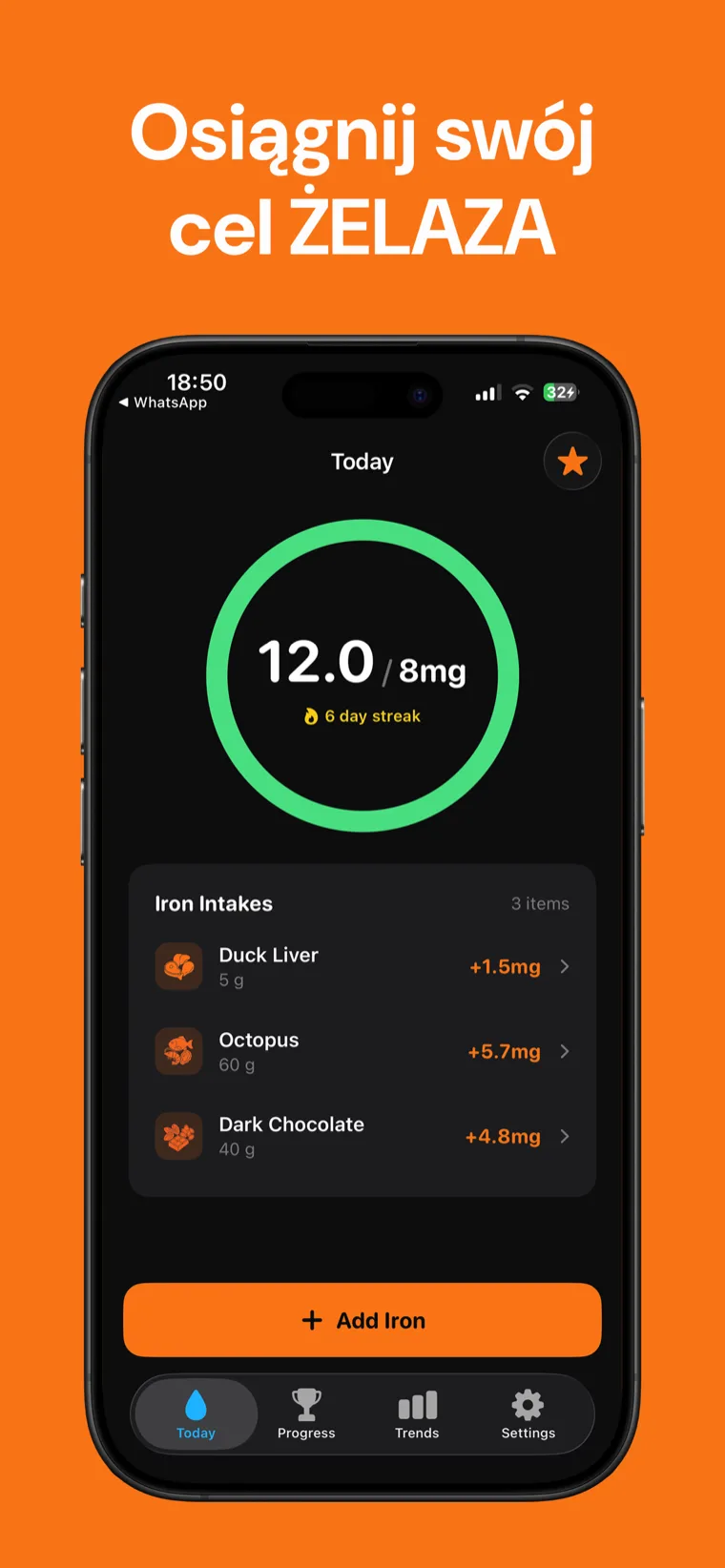 Osiągnij swój cel ŻELAZA — Żelazo Tracker na iPhone z pierścieniem dziennego postępu żelaza i listą zarejestrowanych posiłków