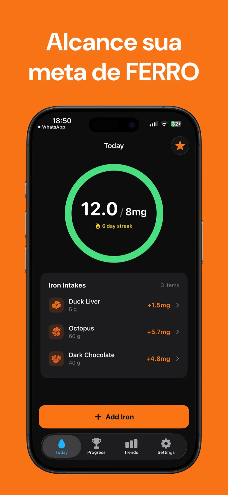 Alcance sua meta de FERRO — FerroTracker no iPhone mostrando o anel de progresso diário de ferro e os alimentos registrados