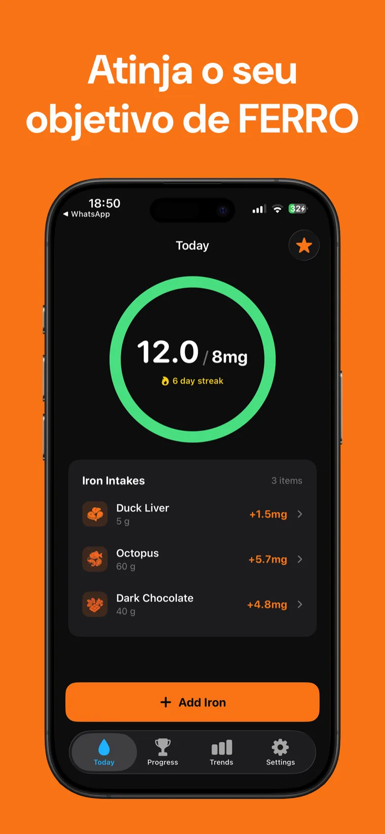 Atinja o seu objetivo de FERRO — FerroTracker no iPhone mostrando o anel de progresso diário e os alimentos registados