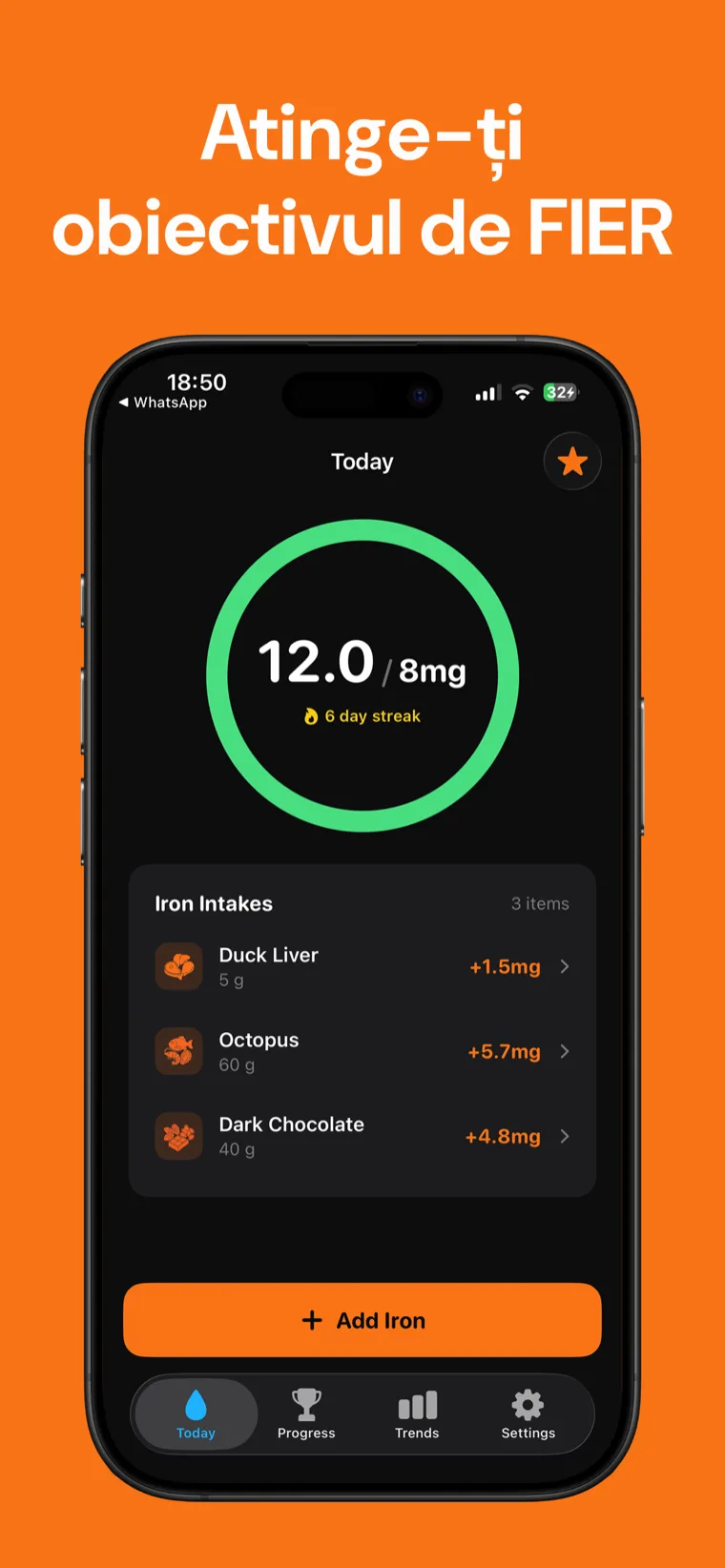 Atinge-ți obiectivul de FIER — Fier Tracker pe iPhone afișând inelul de progres zilnic și alimentele înregistrate