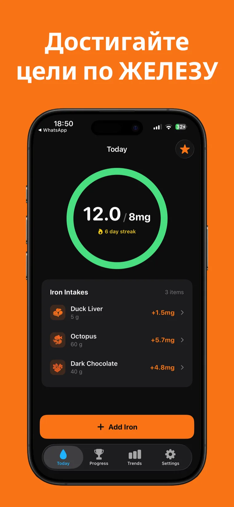 Достигайте цели по ЖЕЛЕЗУ — Трекер Железа на iPhone показывает кольцо дневного прогресса и записанные продукты
