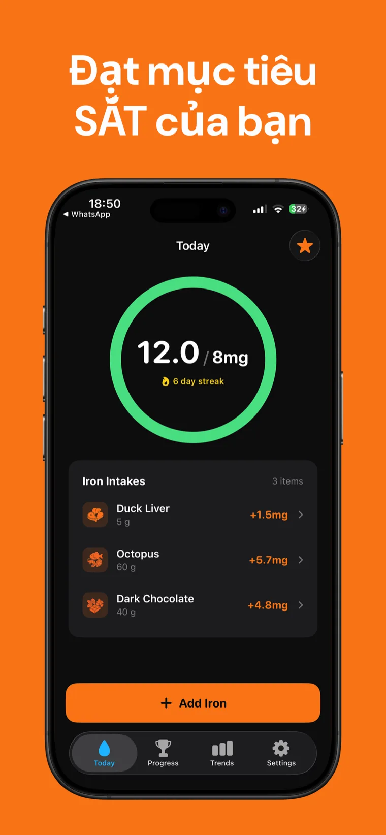 Đạt mục tiêu SẮT của bạn — Sắt Tracker trên iPhone hiển thị vòng tiến trình sắt hàng ngày và các thực phẩm đã ghi